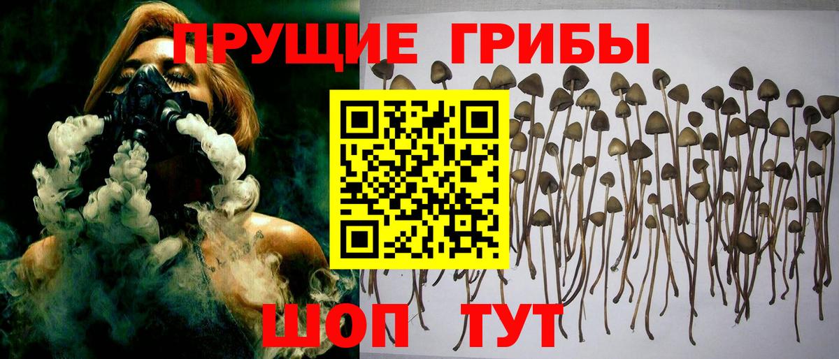 Галлюциногенные грибы MAGIC MUSHROOMS Нововоронеж