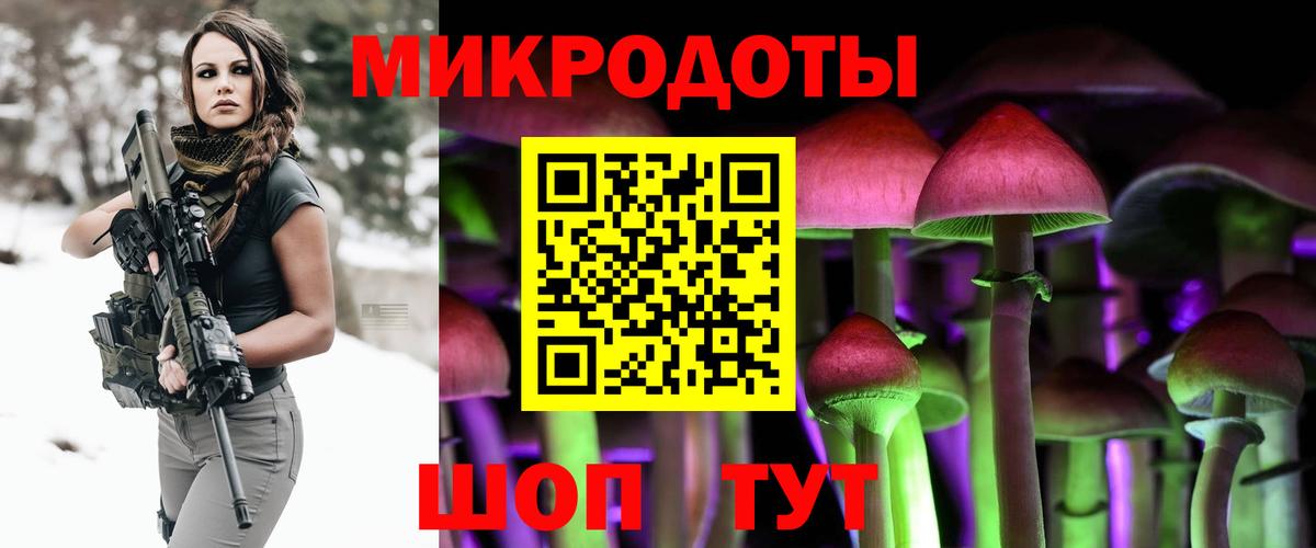 Псилоцибиновые грибы Psilocybe  Вход с VPN  Псилоцибиновые грибы GOLDEN TEACHER  Нововоронеж 